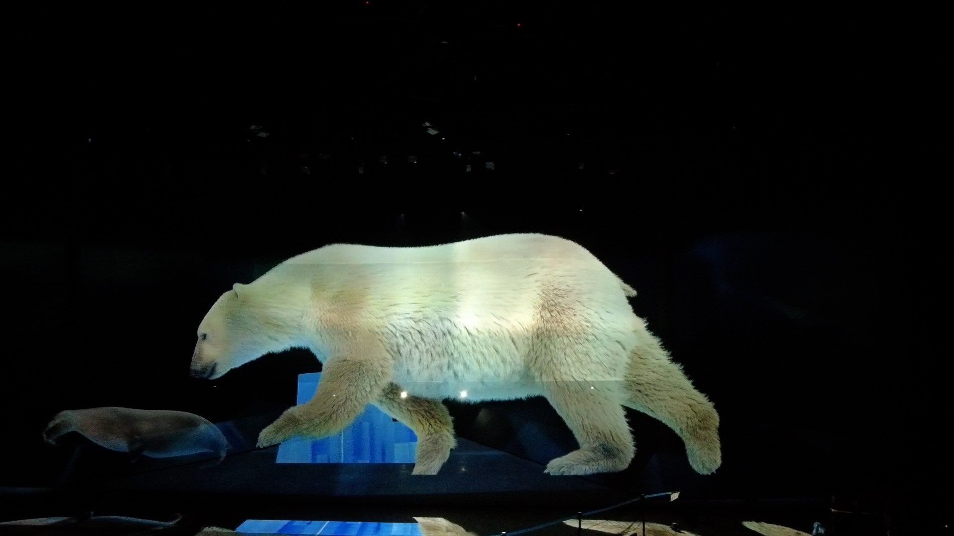 Optoma once again captivates audiences with the world's largest holographic cinema experience