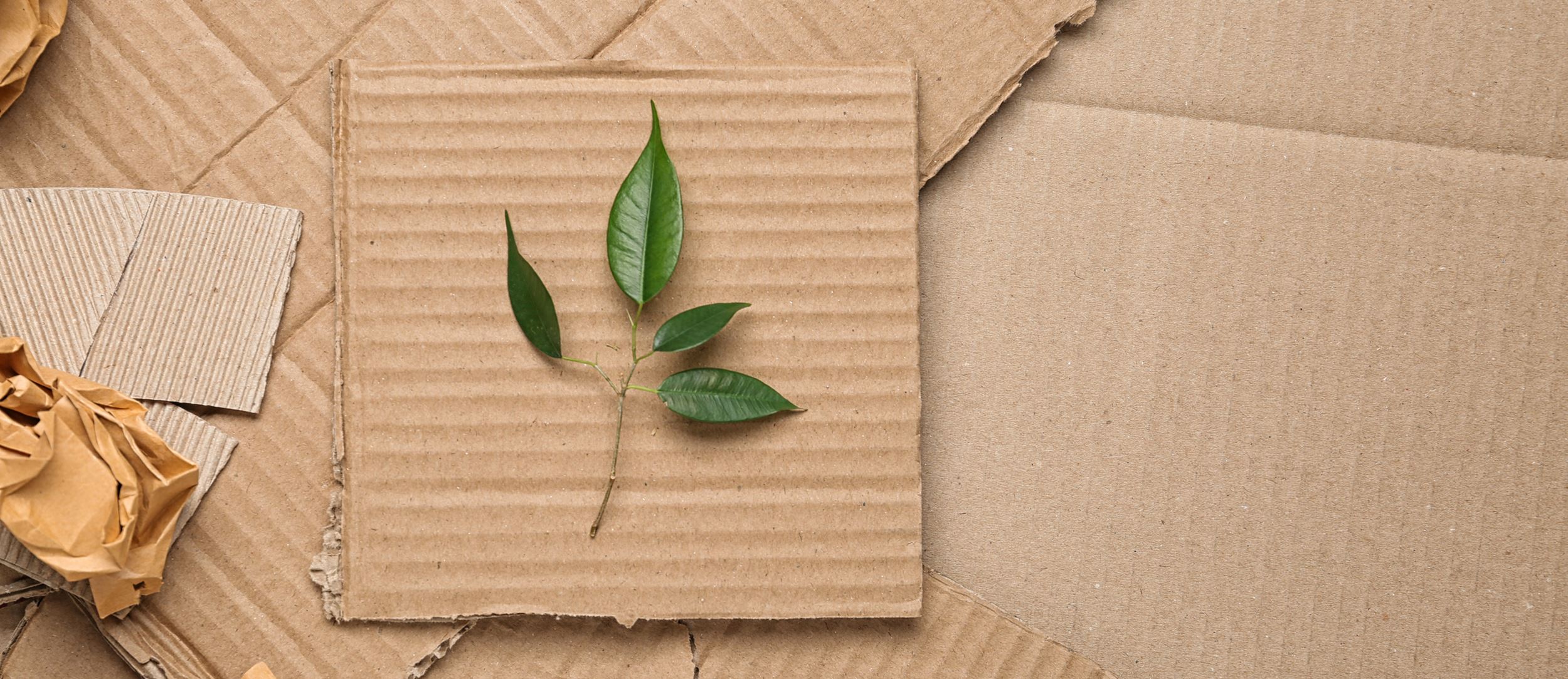 Gelecek iin tasarland